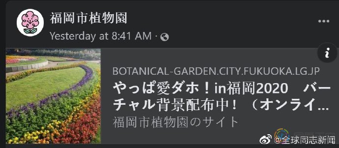 日本：福冈市植物园种花支持“国际不再恐同日”