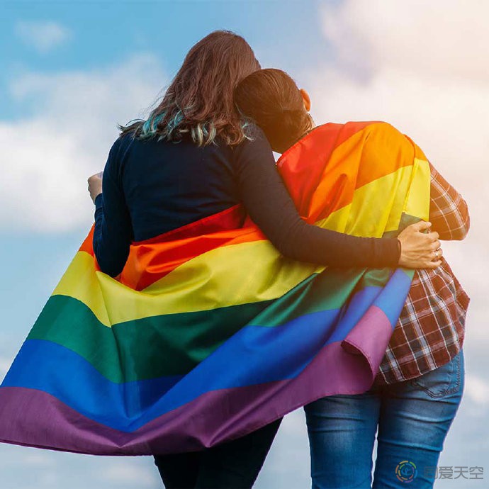 黑山同性伴侣关系合法化
