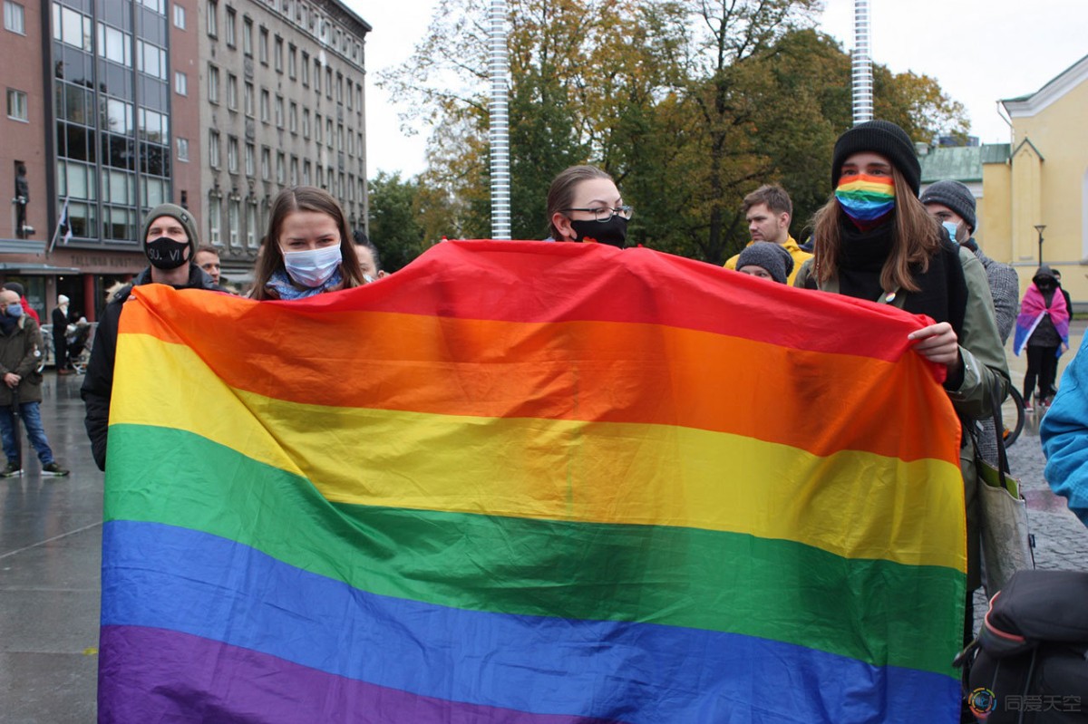爱沙尼亚年轻人呼吁承认同性婚姻