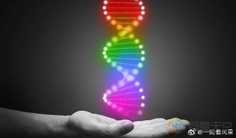 一项新研究：同性性行为相关基因也存在于异性恋者身上