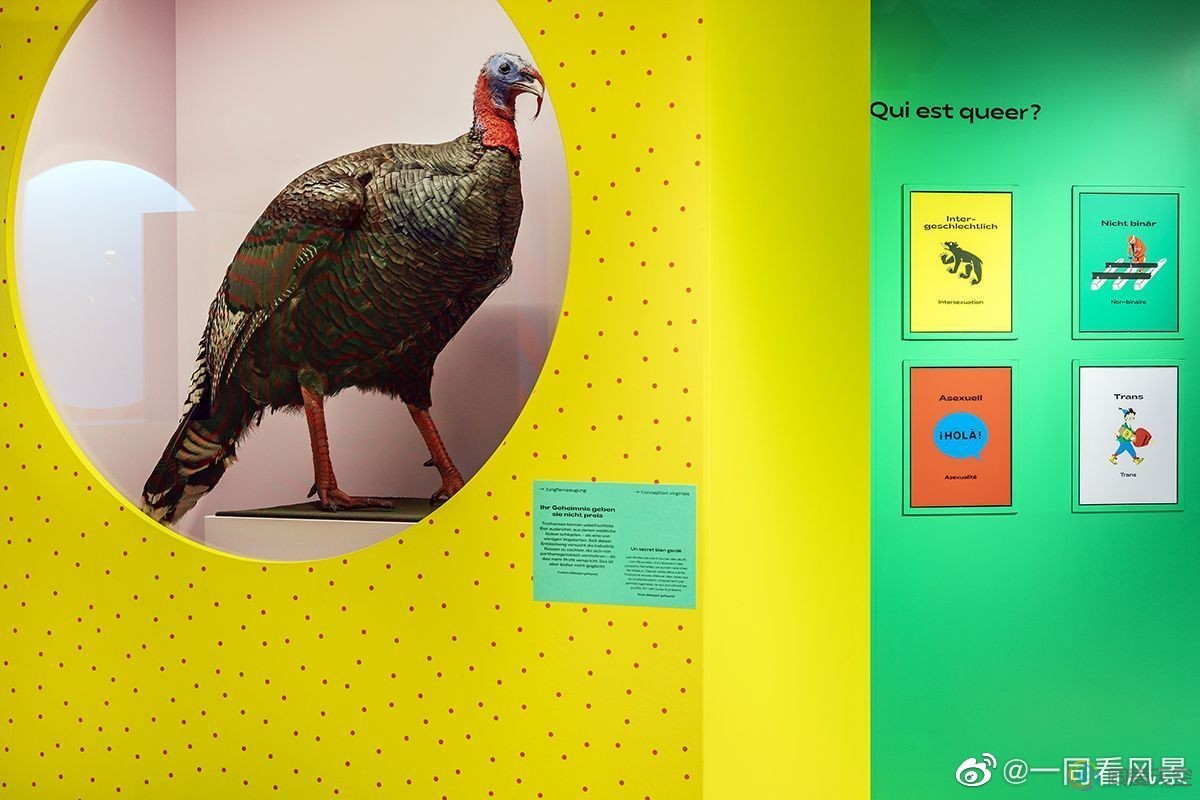 瑞士的自然史博物馆举办《自然界的多样性》专题展